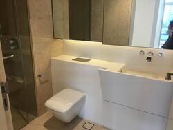 Cairnhill Nine (D9), Apartment #620687611